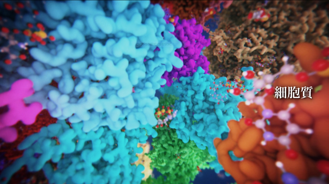youtube：バクテリア細胞質の全原子分子動力学シミュレーション