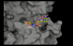 画像：ブリガチニブが3重変異のEGFR（灰色表示）に結合する様子